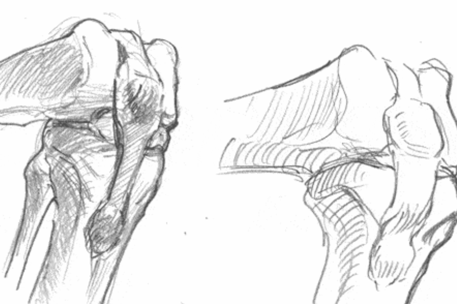 person kneeling sketch reference